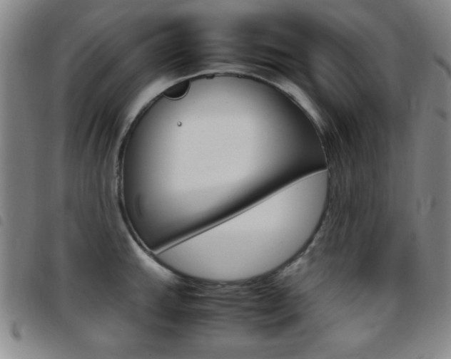 X0000097821143200803140800