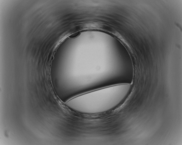 X0000097821145200803140800