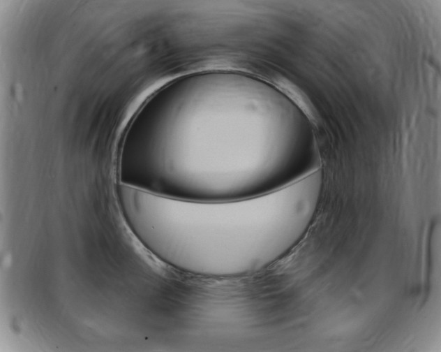 X0000097821148200803140800