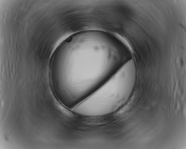 X0000097821149200803140800
