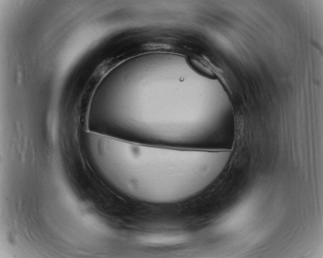 X0000097821151200803140800
