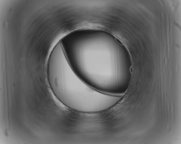 X0000097821152200803140800