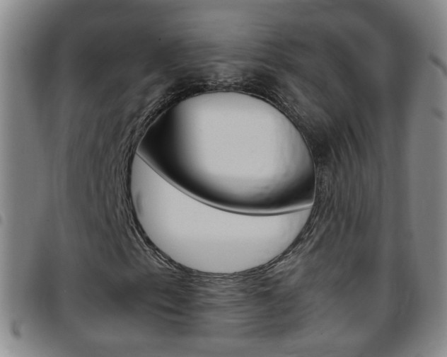 X0000097821153200803140800