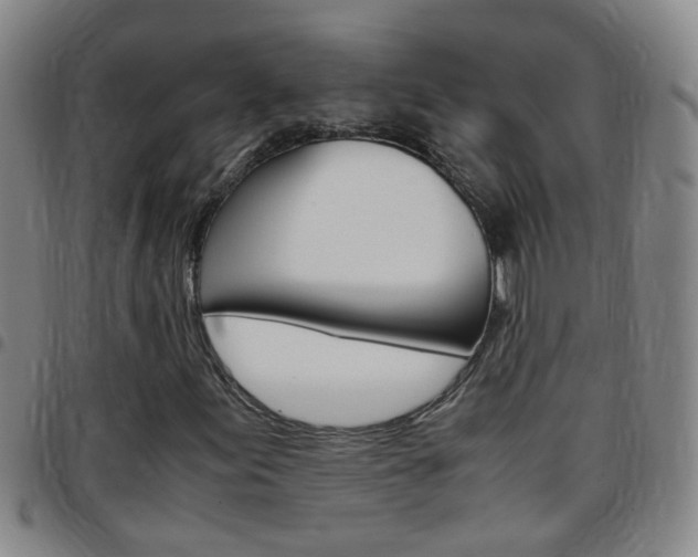 X0000097821155200803140800