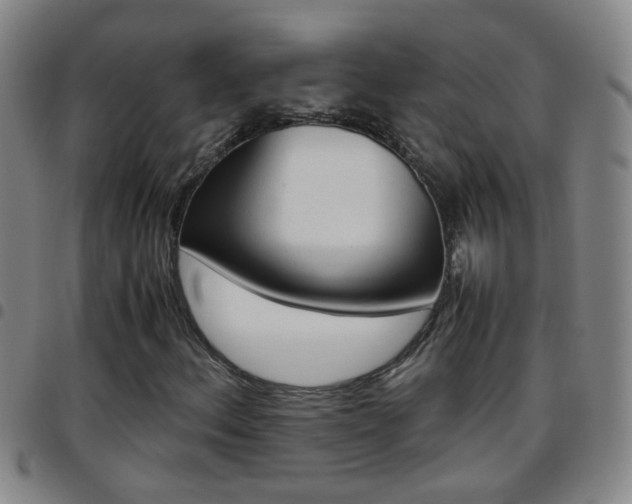 X0000097821156200803140800