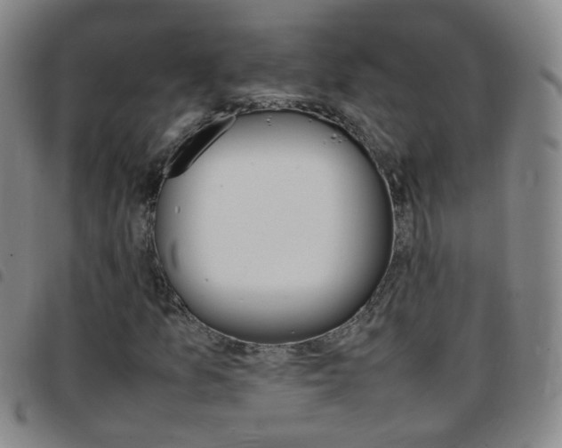 X0000097821157200803140800