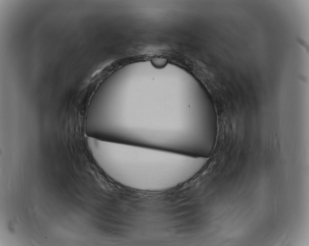 X0000097821158200803140800