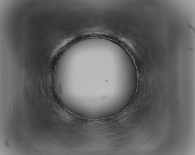 X0000097821159200803140759