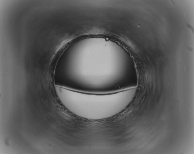 X0000097821160200803140759