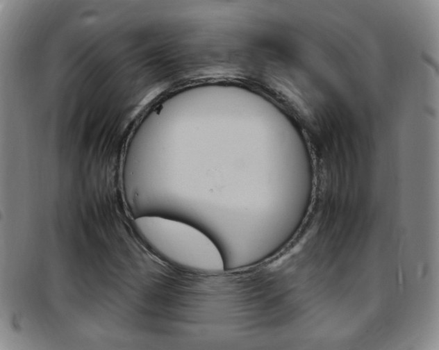 X0000097821162200803140759
