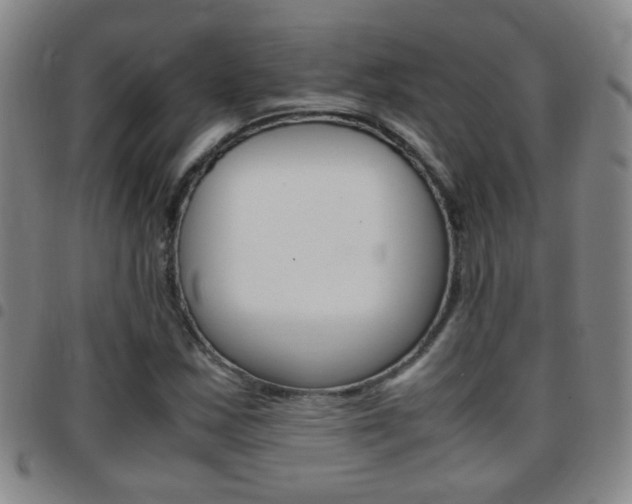 X0000097821163200803140759