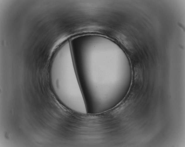 X0000097821164200803140759
