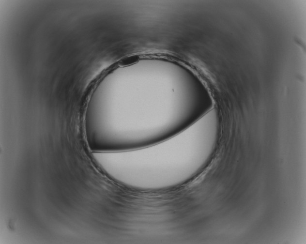 X0000097821165200803140759