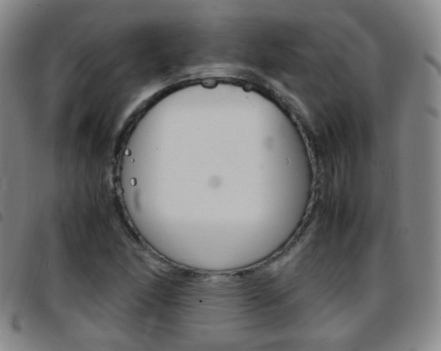 X0000097821166200803140759