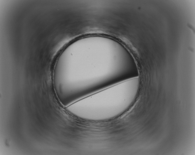 X0000097821167200803140759