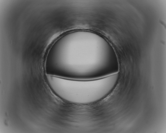 X0000097821168200803140759