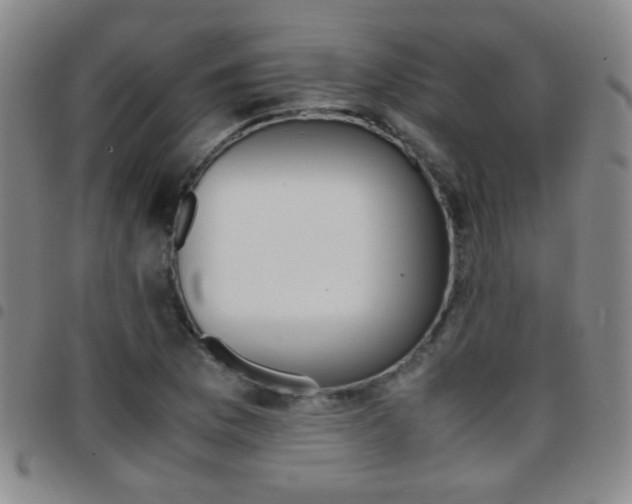 X0000097821169200803140759