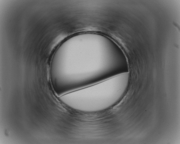 X0000097821171200803140759