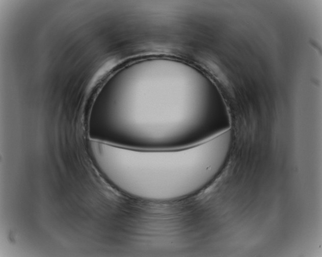 X0000097821172200803140759
