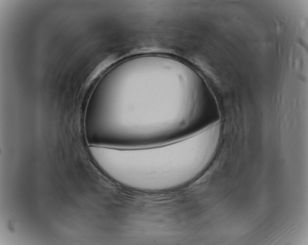 X0000097821173200803140759
