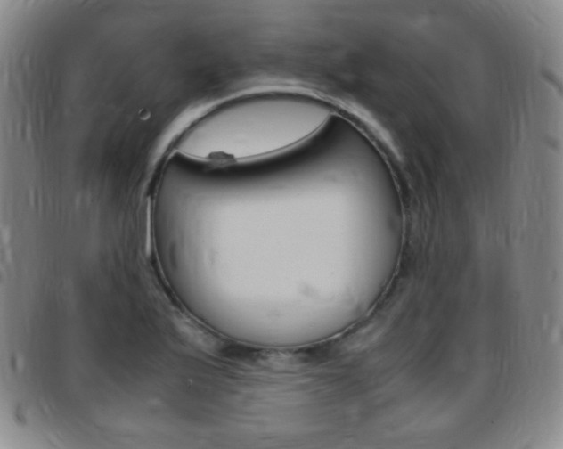 X0000097821175200803140759