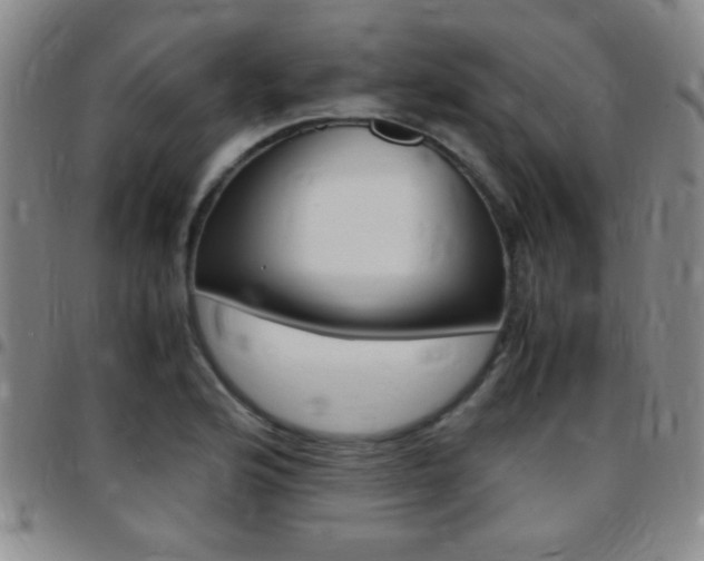 X0000097821176200803140759