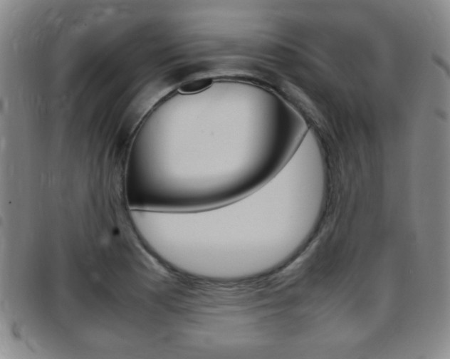 X0000097821177200803140759