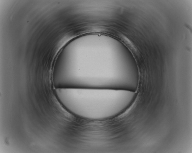 X0000097821178200803140759