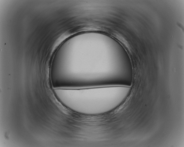 X0000097821179200803140759