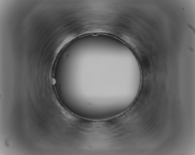X0000097821181200803140759