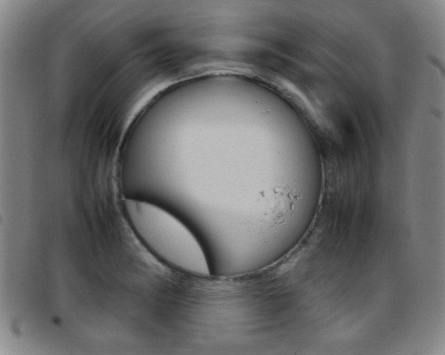 X0000097821182200803140759