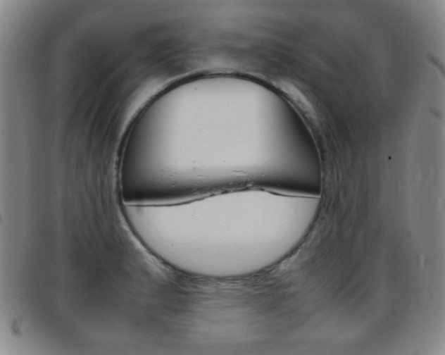 X0000097821183200803140759