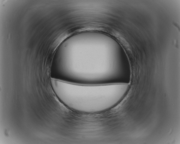 X0000097821185200803140759