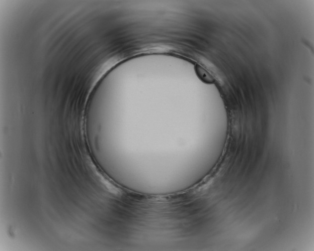 X0000097821186200803140759