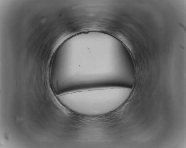 X0000097821187200803140759