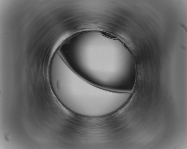 X0000097821188200803140759