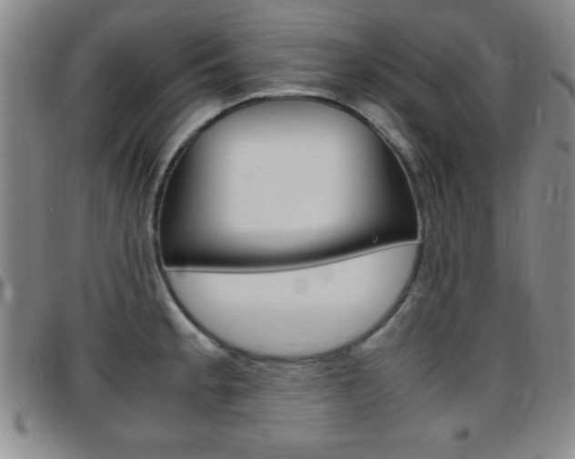 X0000097821189200803140759