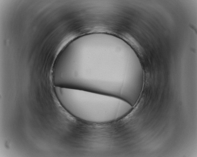 X0000097821190200803140759