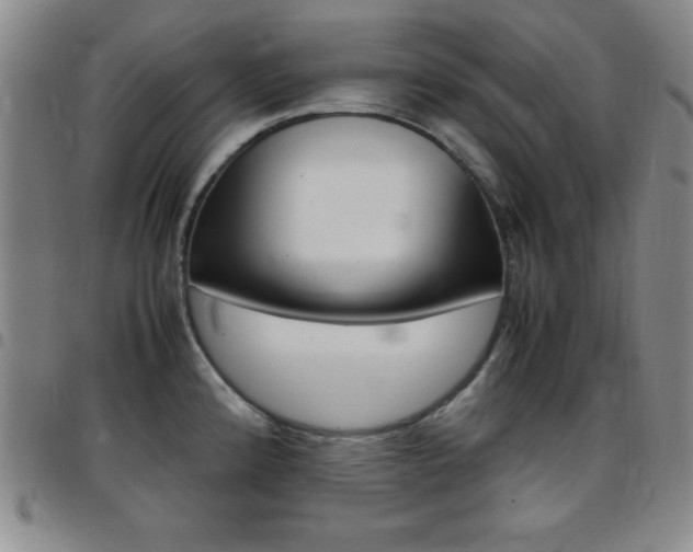 X0000097821192200803140759