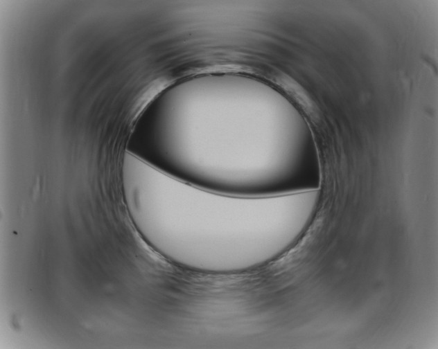 X0000097821193200803140759