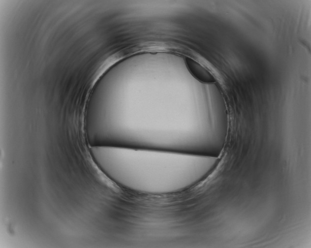 X0000097821194200803140759