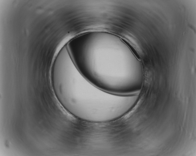X0000097821196200803140759