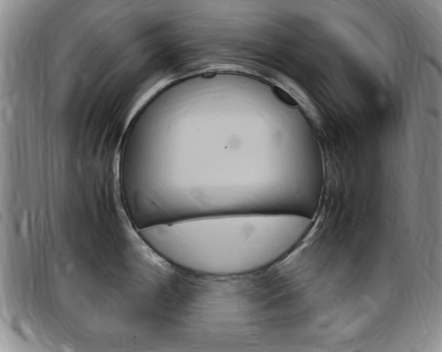 X0000097821198200803140759