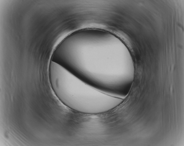 X0000097821199200803140759