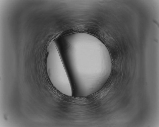 X0000097821201200803140758