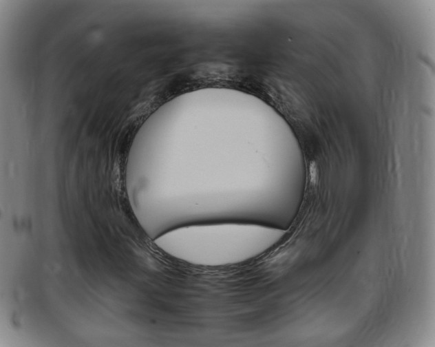 X0000097821203200803140758