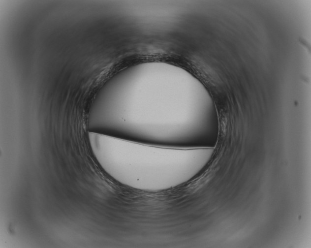 X0000097821204200803140758