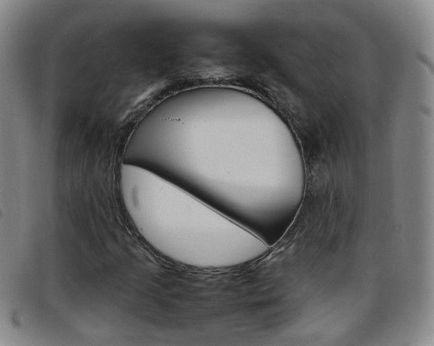 X0000097821205200803140758