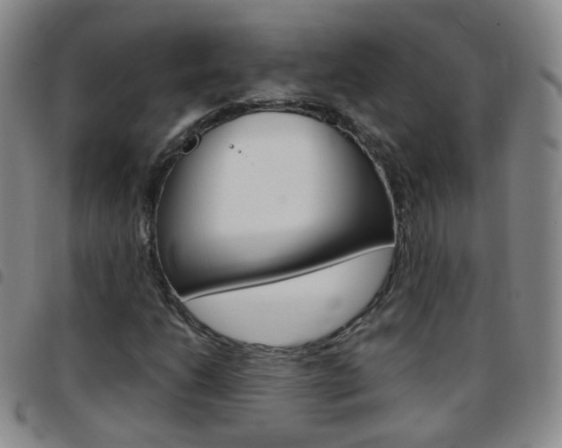 X0000097821206200803140758