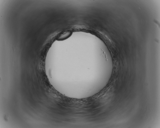 X0000097821207200803140758